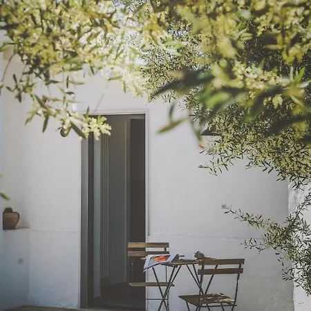 Casa Ziazi E Nature Oda ve Kahvaltı 4*